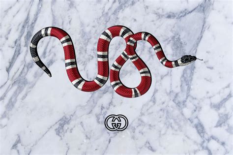 gucci snake meaning.